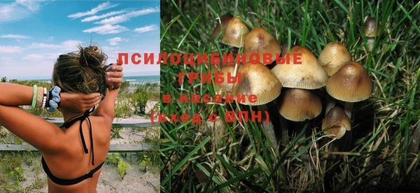 apvp Новокубанск