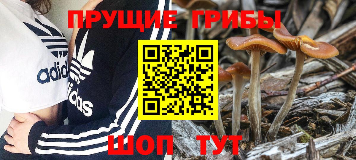 Псилоцибиновые грибы Psilocybe  Галлюциногенные грибы MAGIC MUSHROOMS  Ачинск  Вход с VPN 