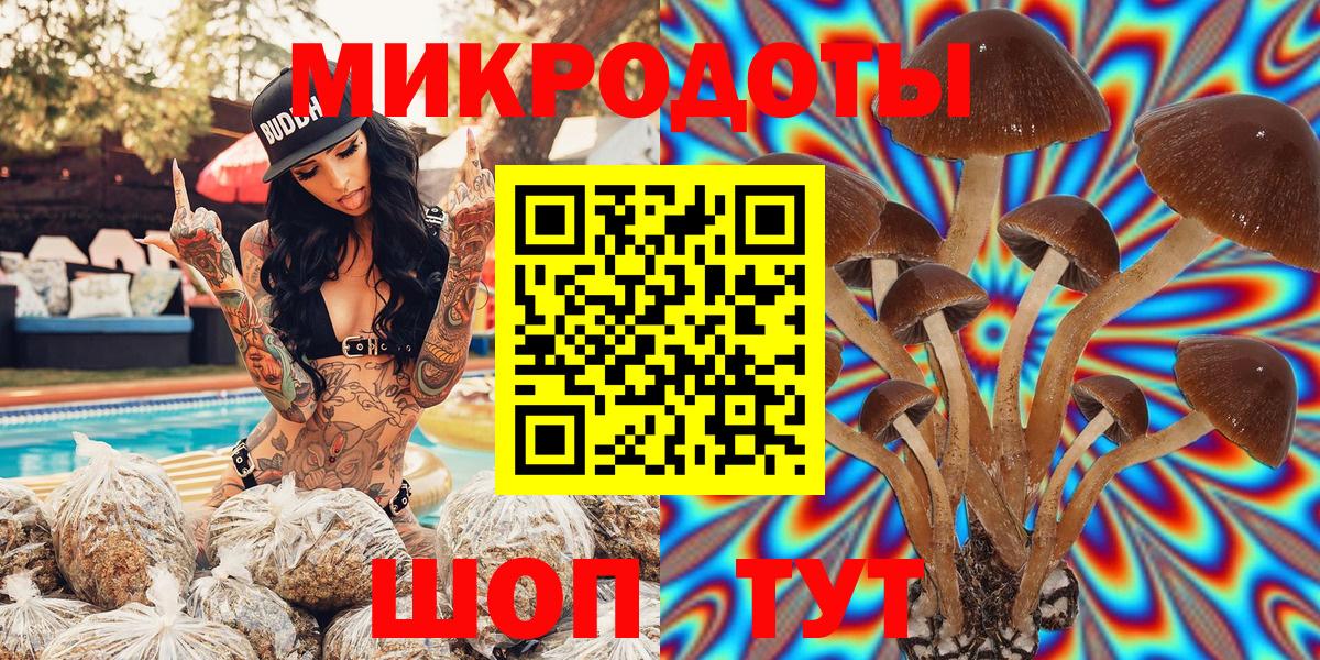 Псилоцибиновые грибы мицелий Ачинск