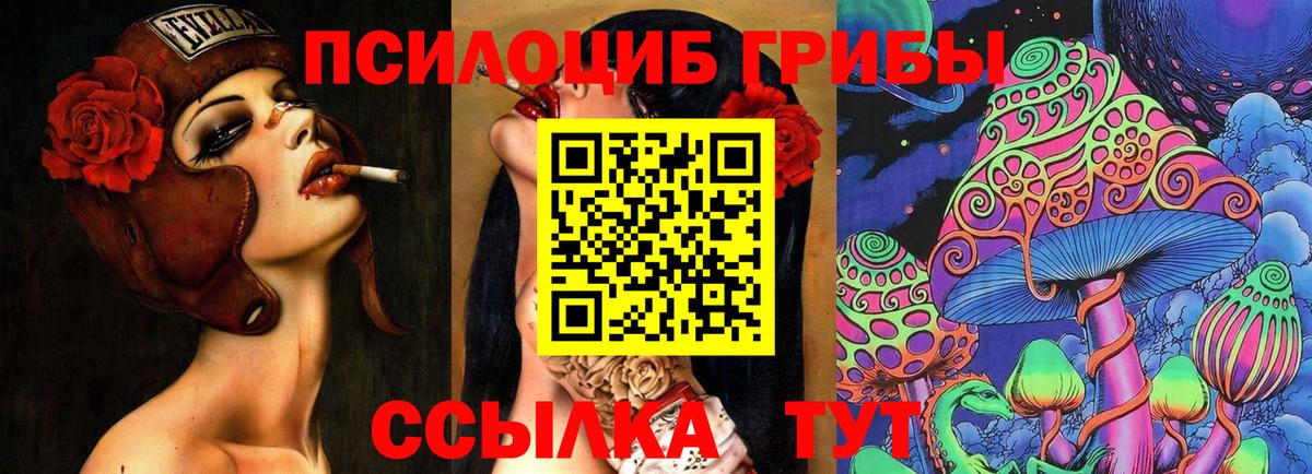 Псилоцибиновые грибы мицелий Ачинск