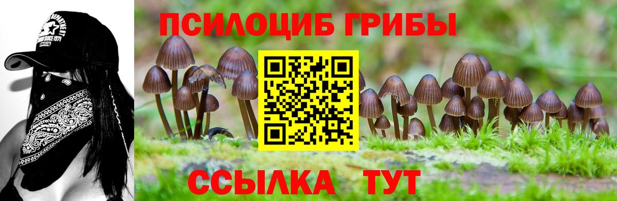Галлюциногенные грибы MAGIC MUSHROOMS Ачинск