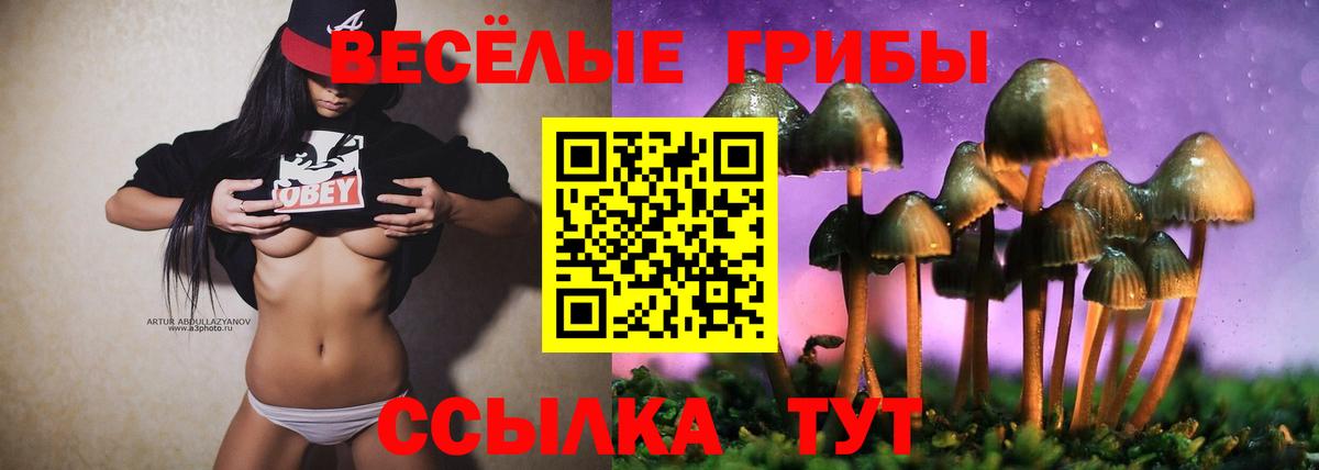 Псилоцибиновые грибы ЛСД  Ачинск 