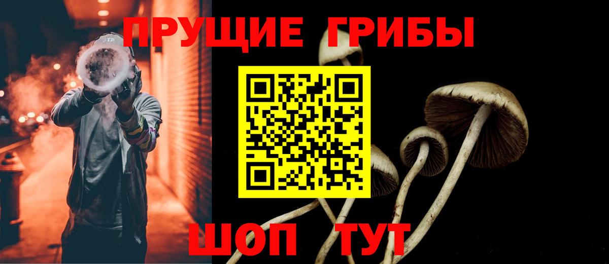 Псилоцибиновые грибы Psilocybine cubensis  Псилоцибиновые грибы прущие грибы  Вход с VPN  Ачинск 